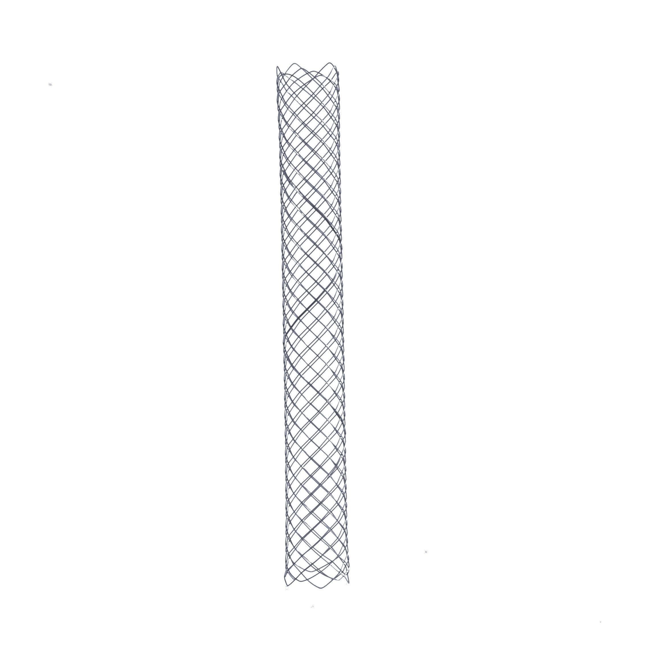 Stent Biliär