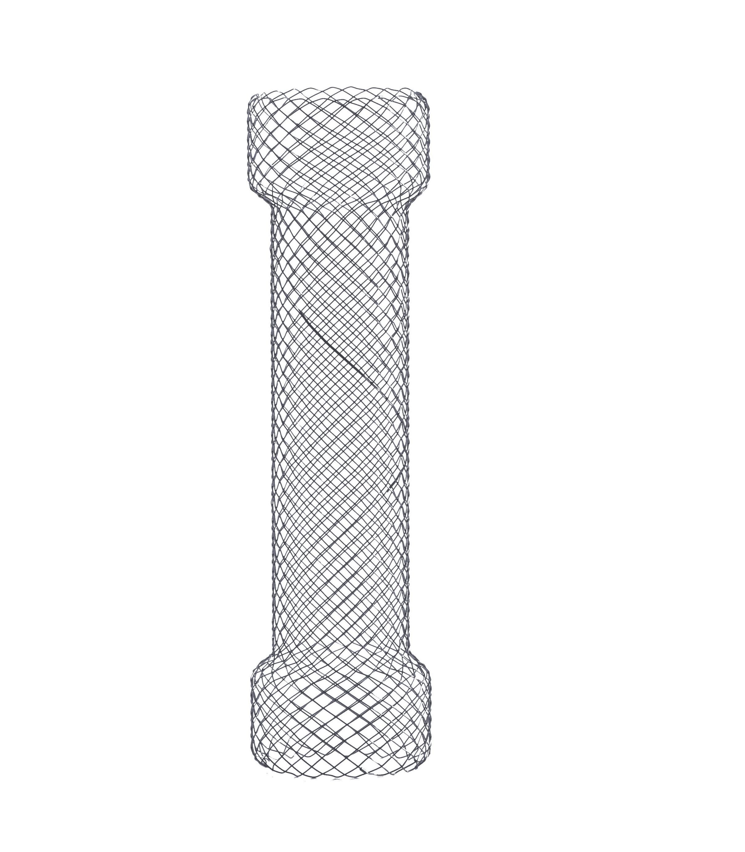 Stent Ösophageal
